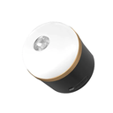 ecoflow_camping-light_02.webp