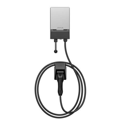 ECOFLOW PowerPulse